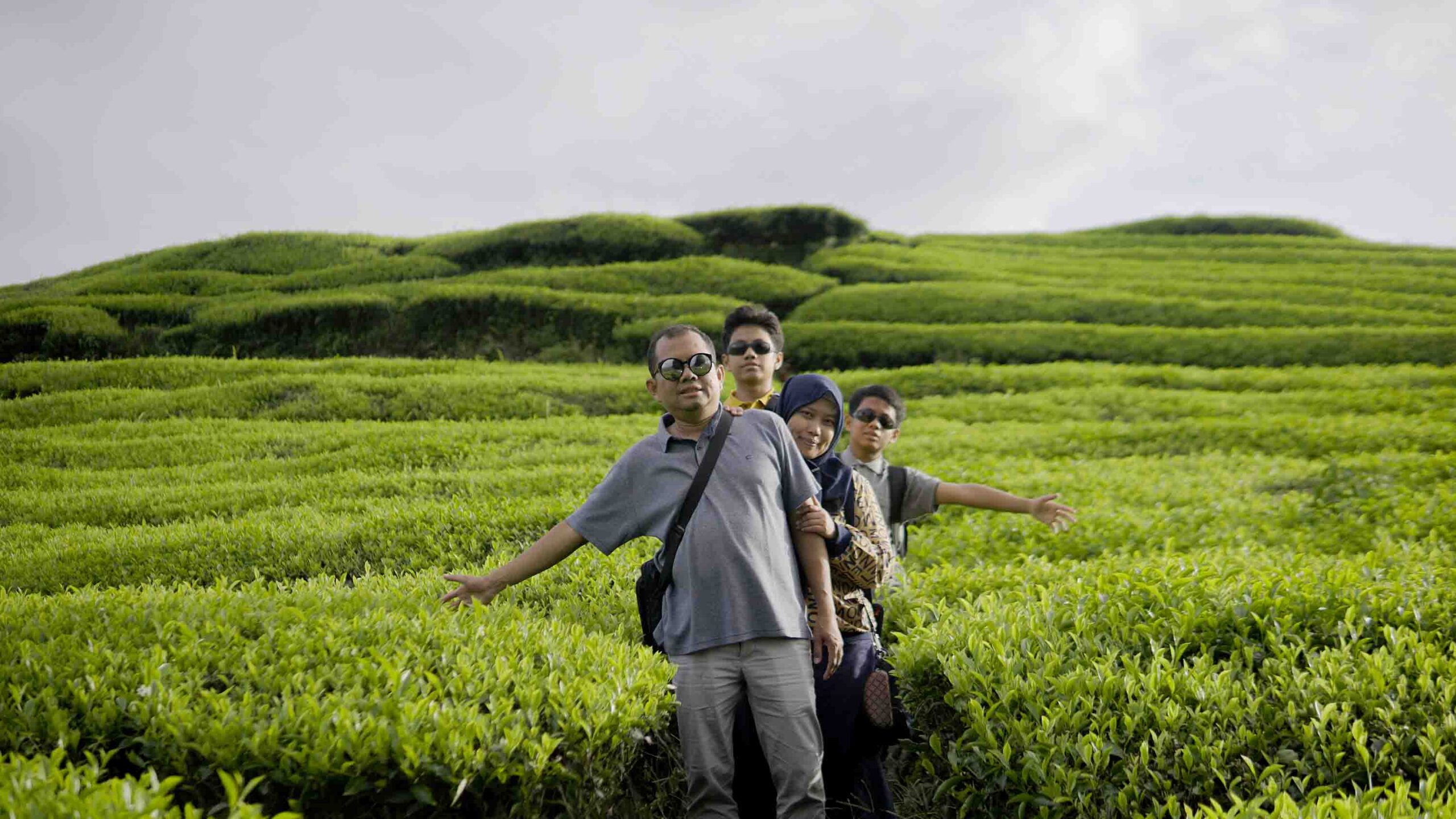 Kebun Teh